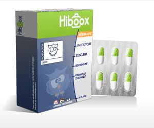 Hiboox-Surpoids-300x250